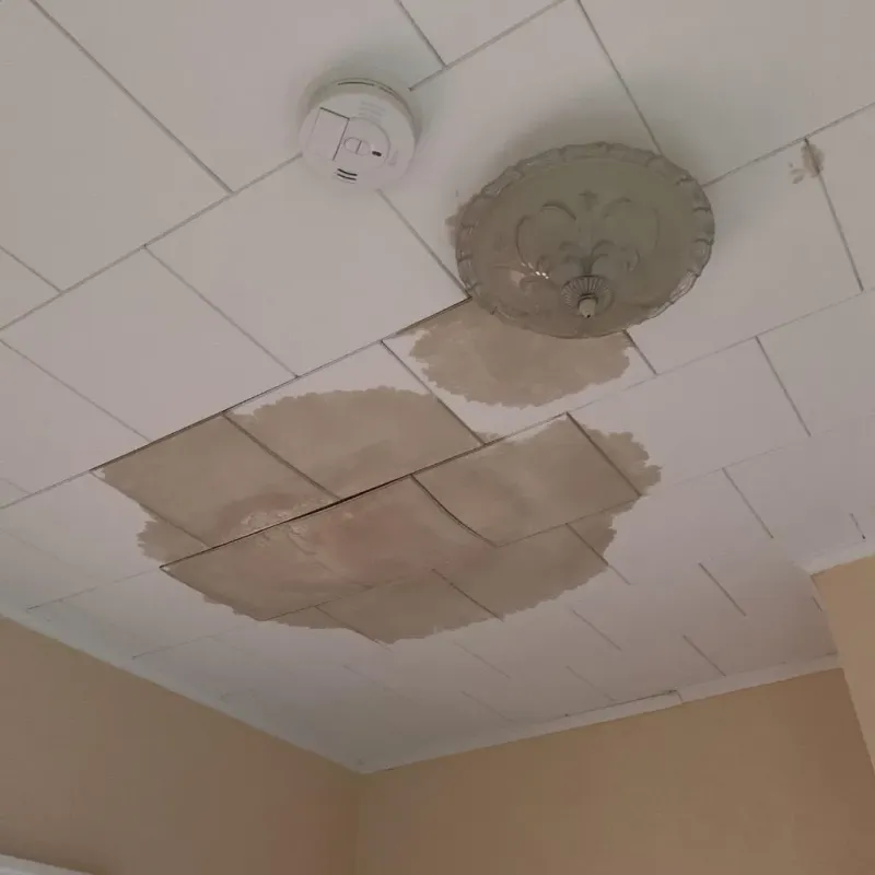 Ceiling Water Damage Repair in Elk Point, SD