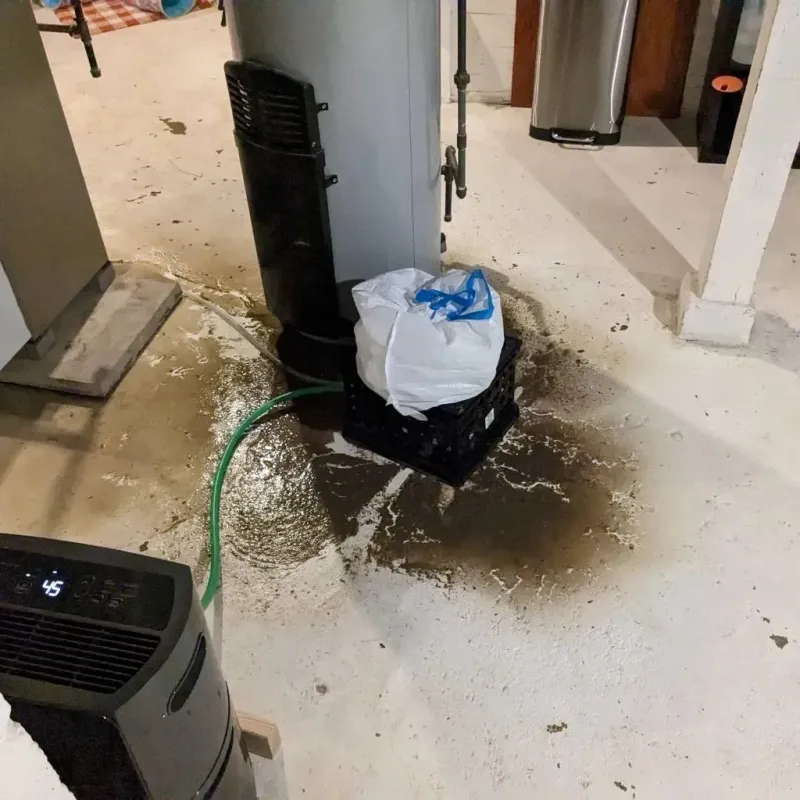 Sewage Backup Cleanup Service in Elk Point, SD
